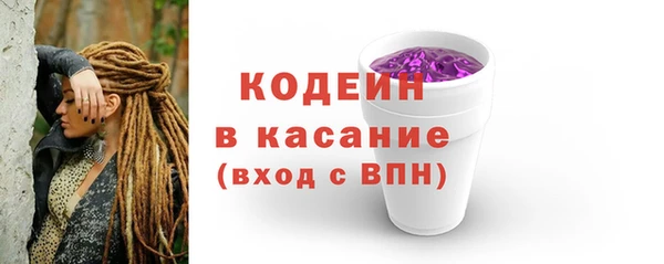 дмт Богданович